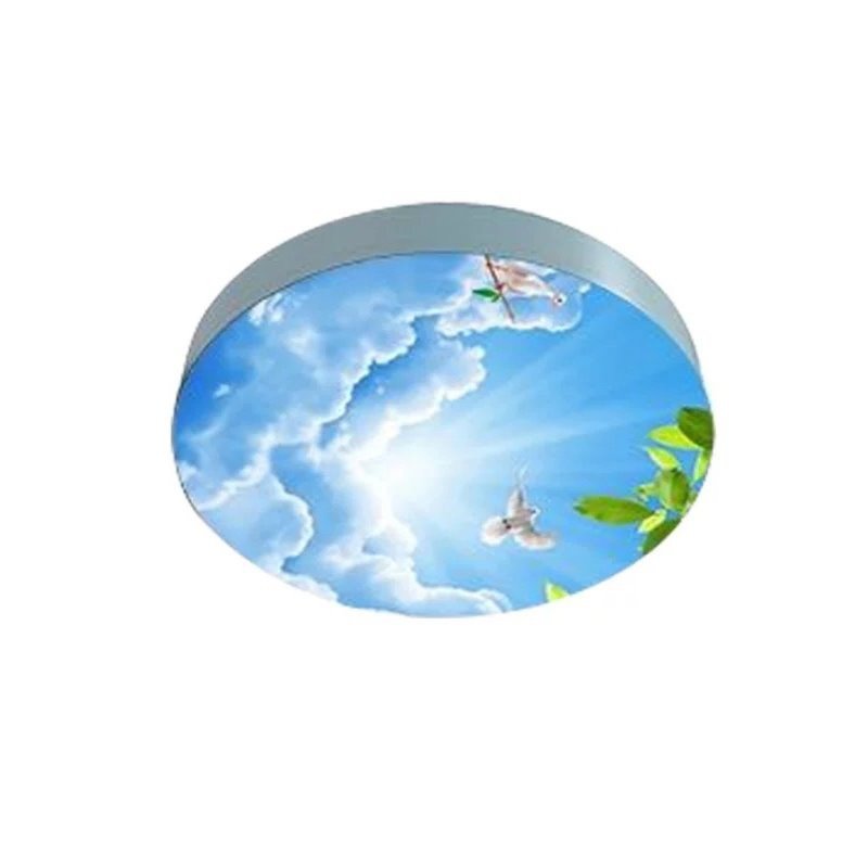 Popular Embossed Polycarbonate Solid Sheets For Skylight